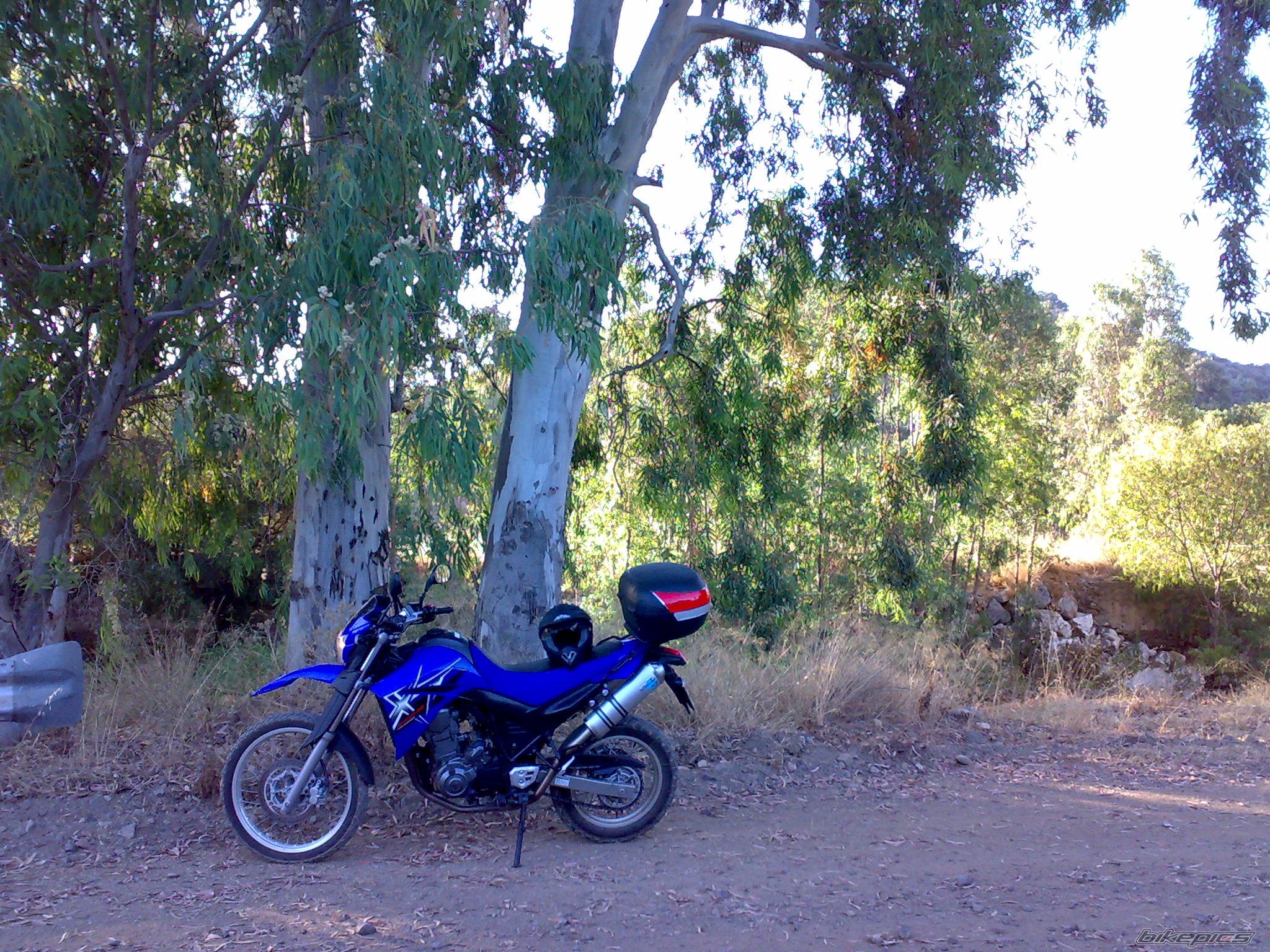 Photo 1352697