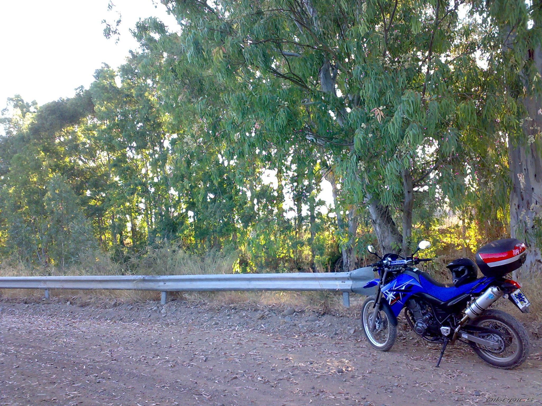 Photo 1352699