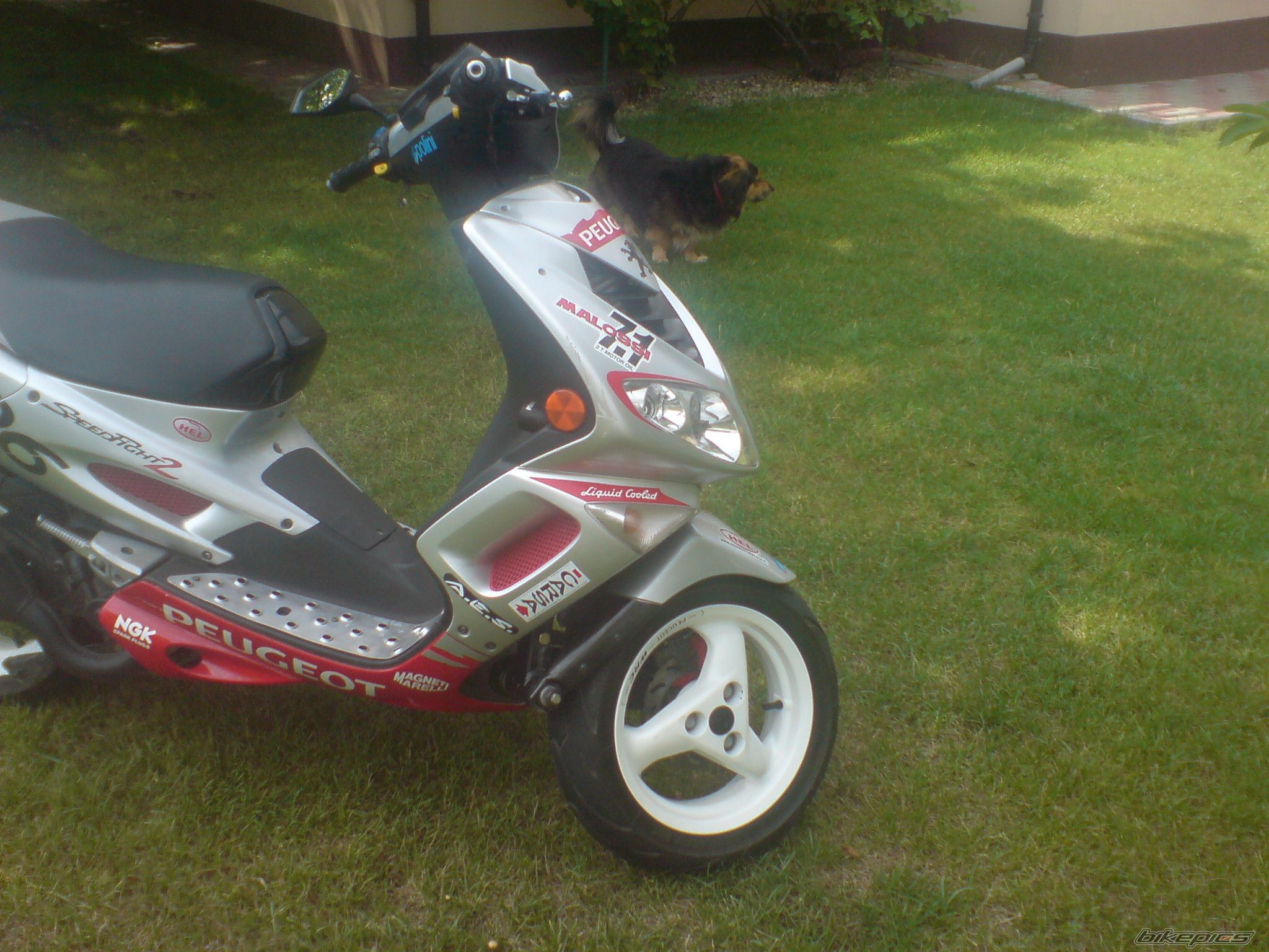 Bike Photo 1352745
