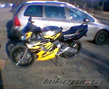 Photo 1352819