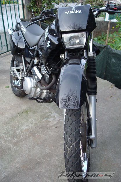 Photo 1352897