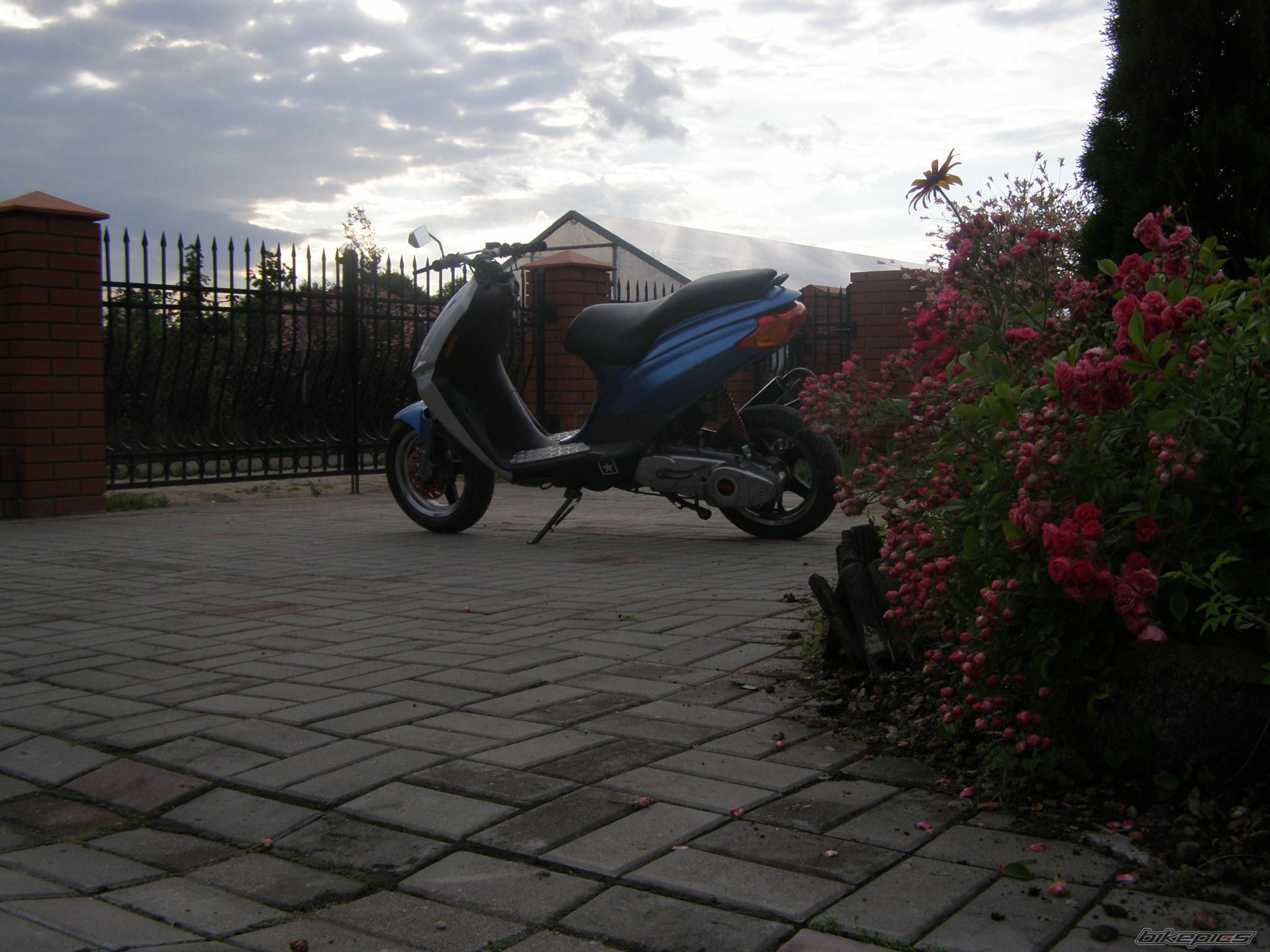 Photo 1352935