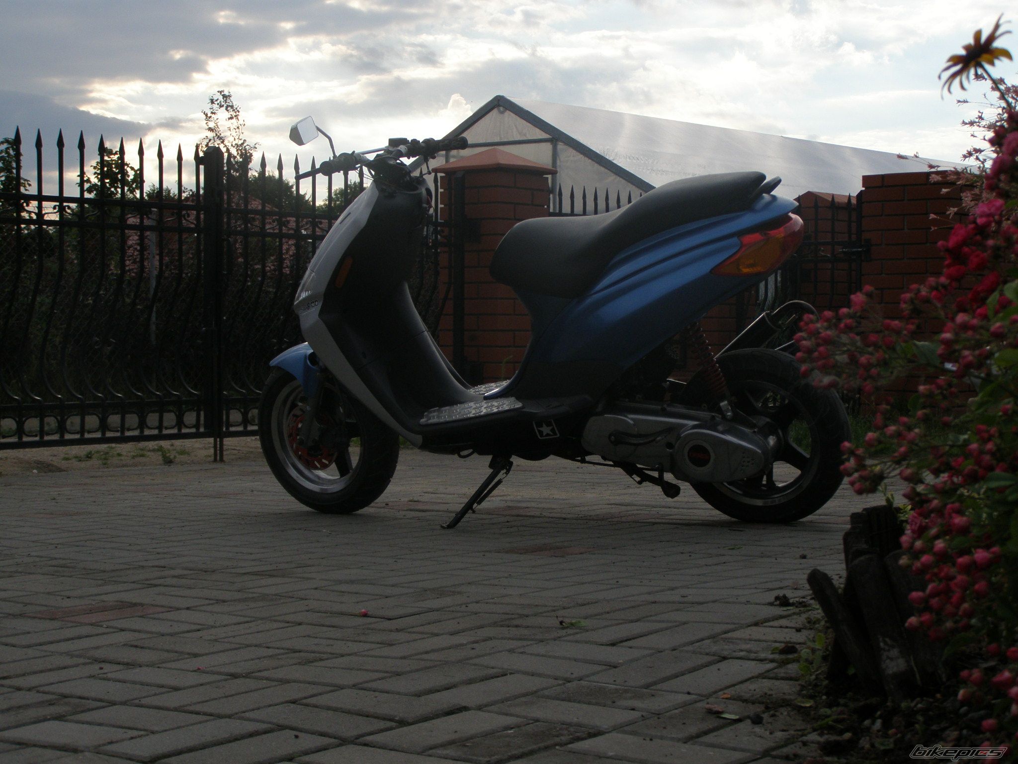 Photo 1352939