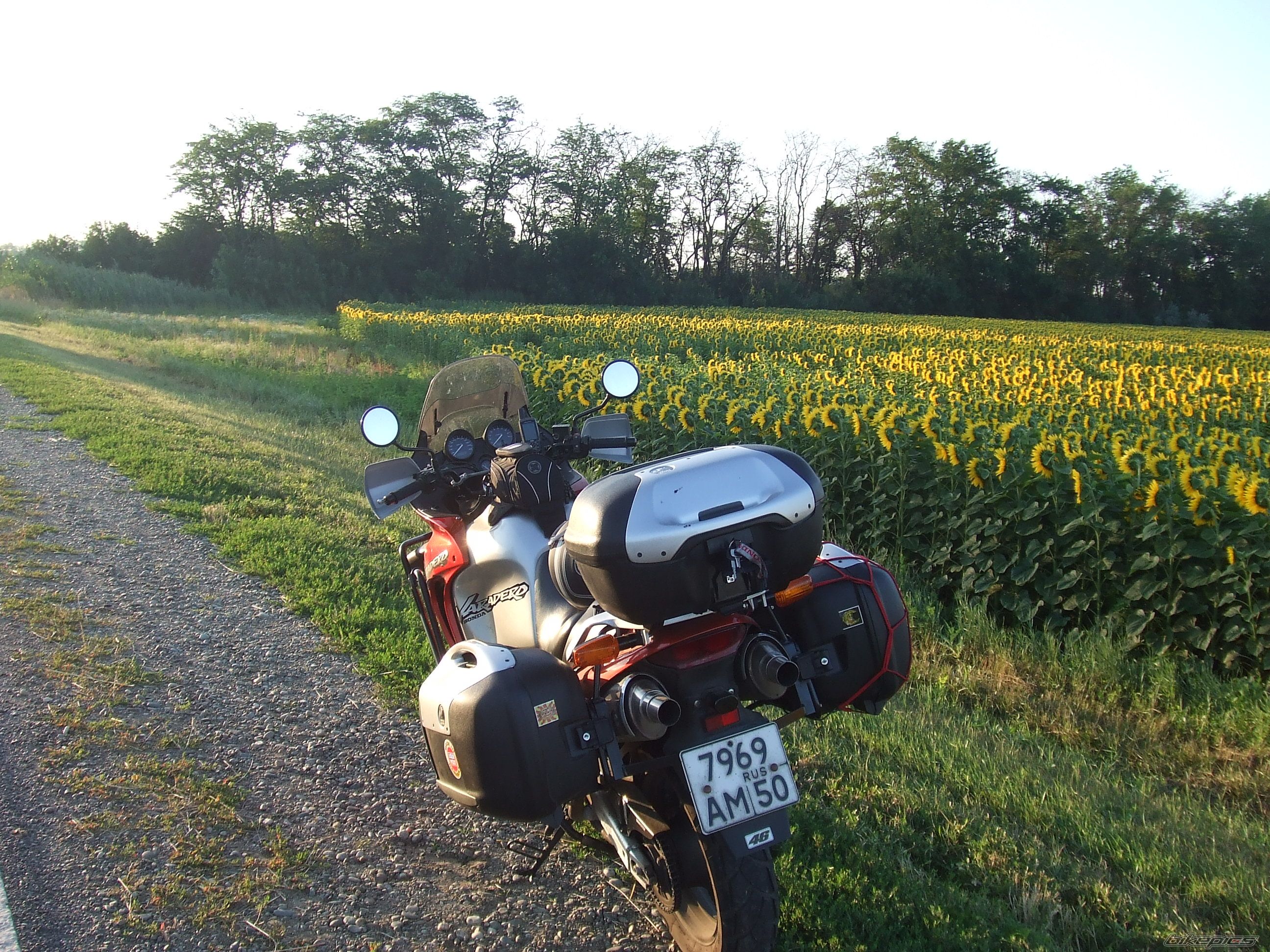 Bike Photo 1352979