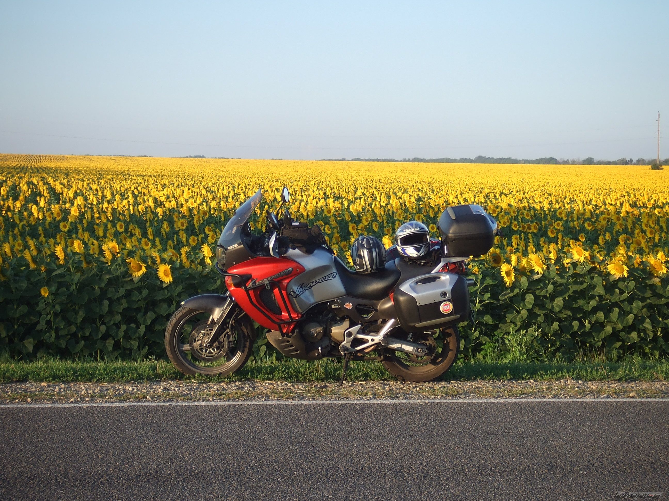 Bike Photo 1352980