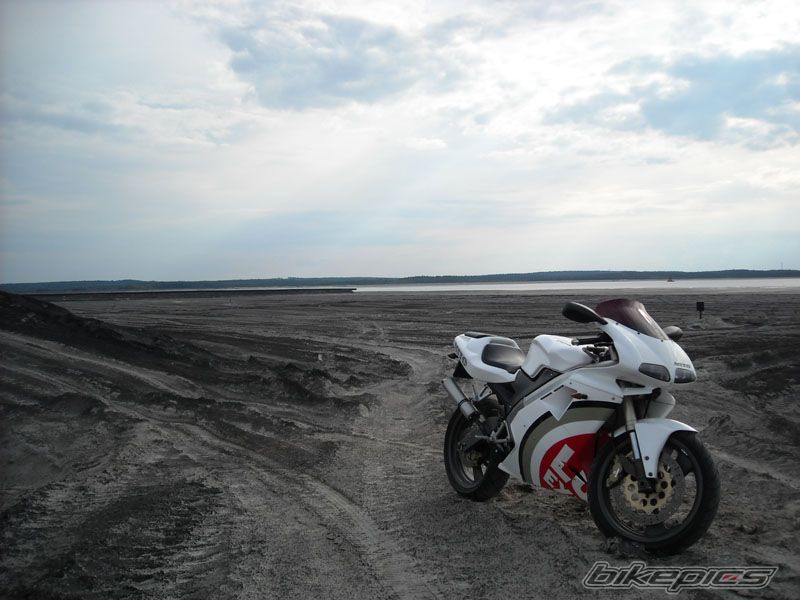 Photo 1352984