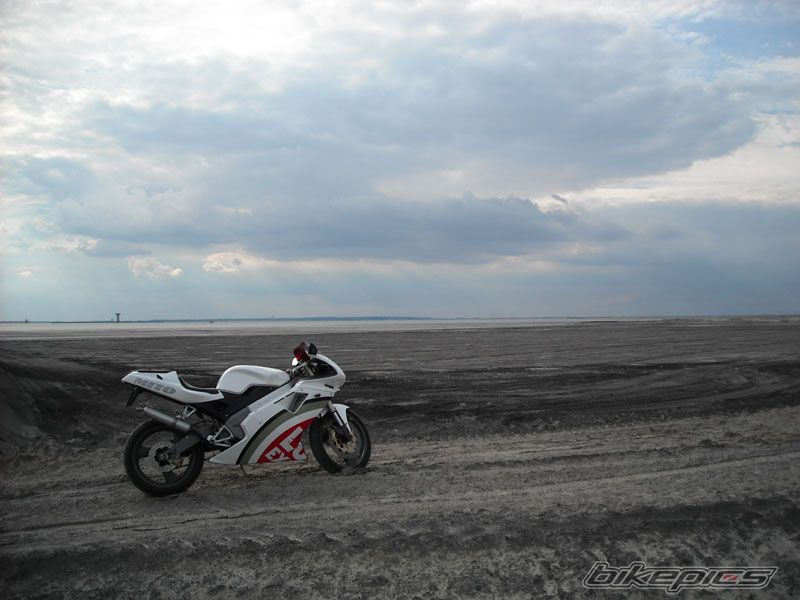 Photo 1352985