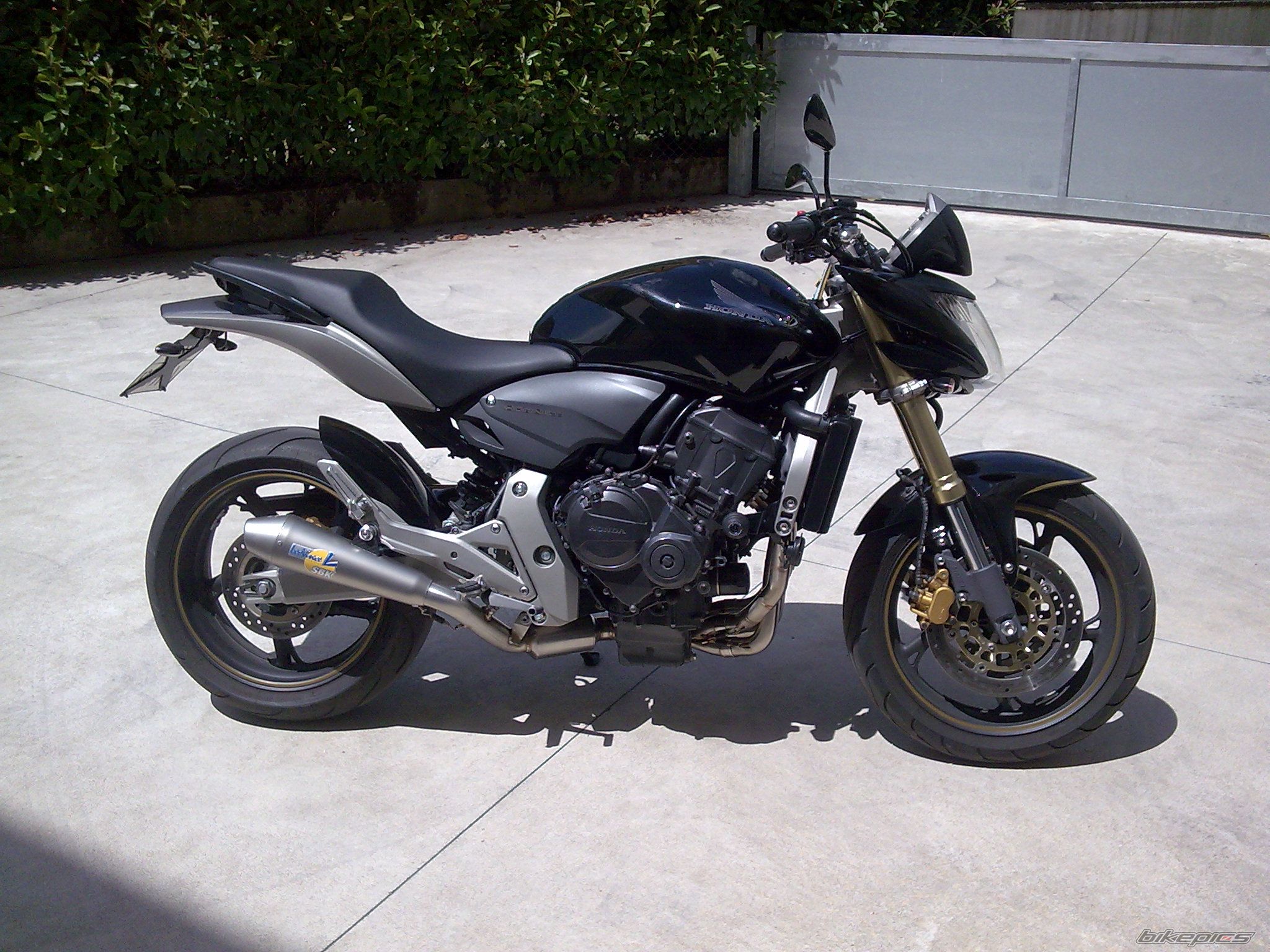 Photo 1353009
