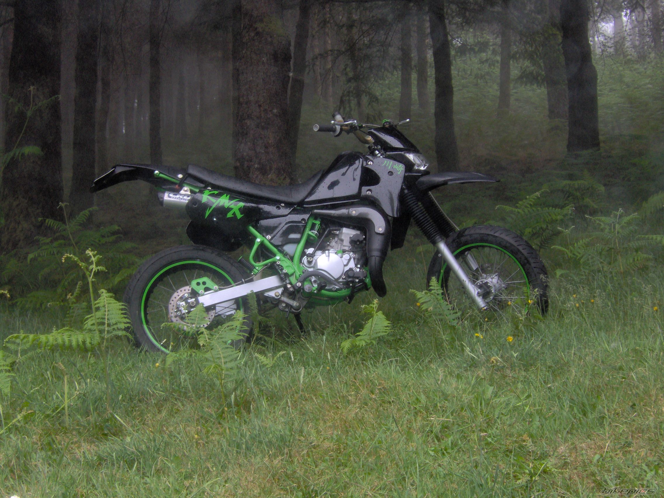 Photo 1353012