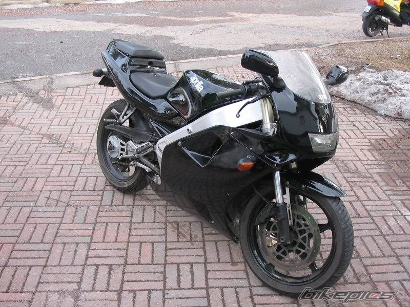 Photo 135305