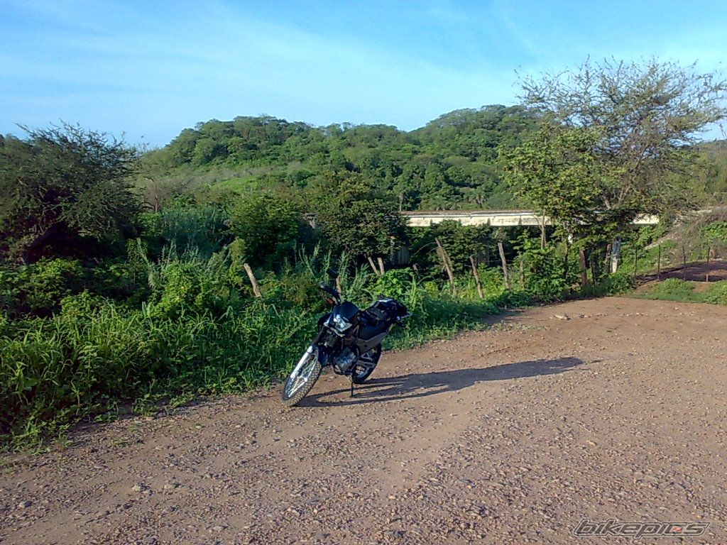 Photo 1353055