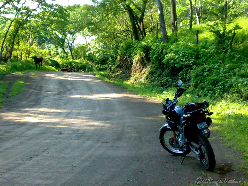 Bike Photo 1353056