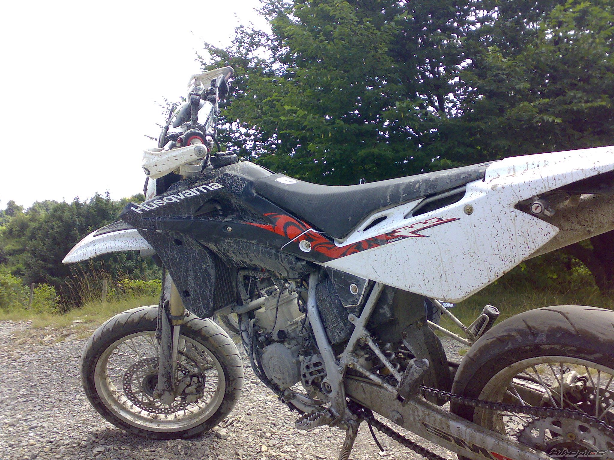 Photo 1353069