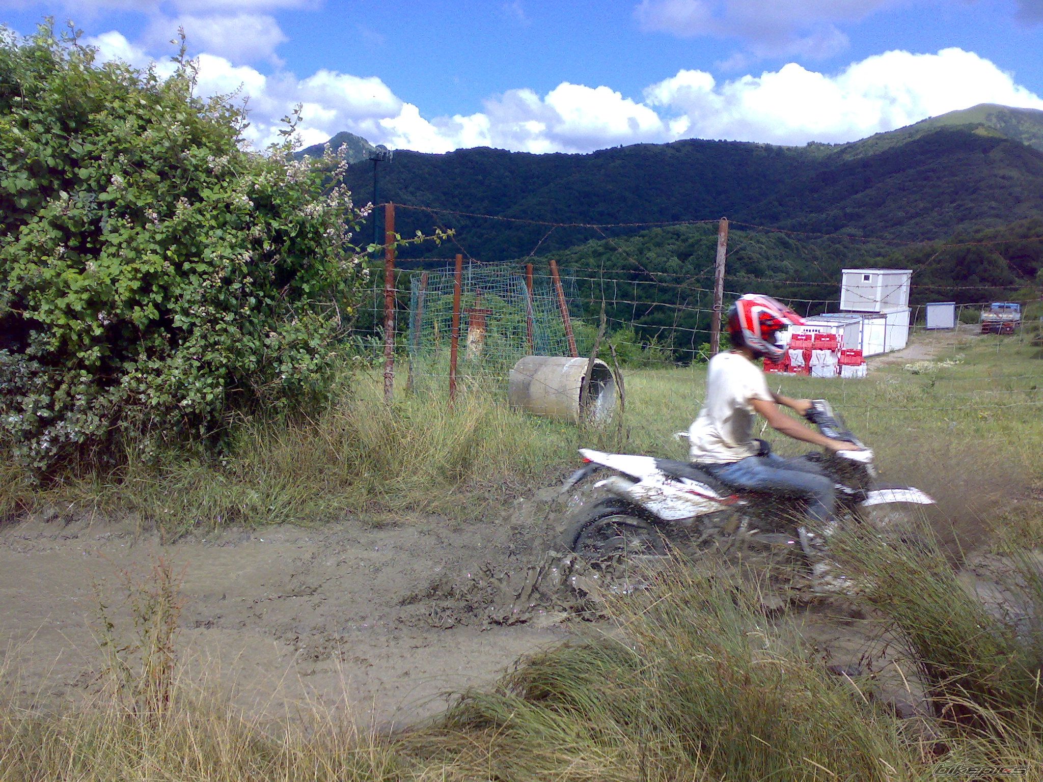 Photo 1353080