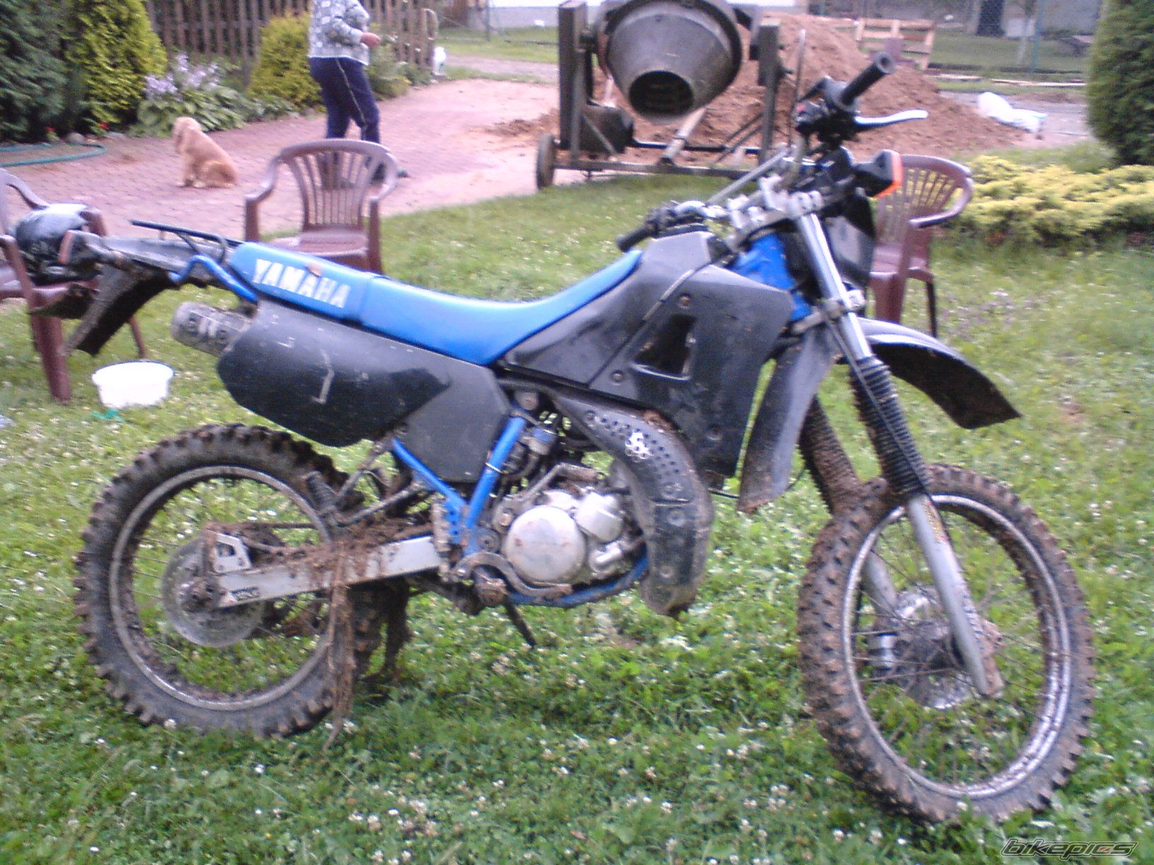 Photo 1353101