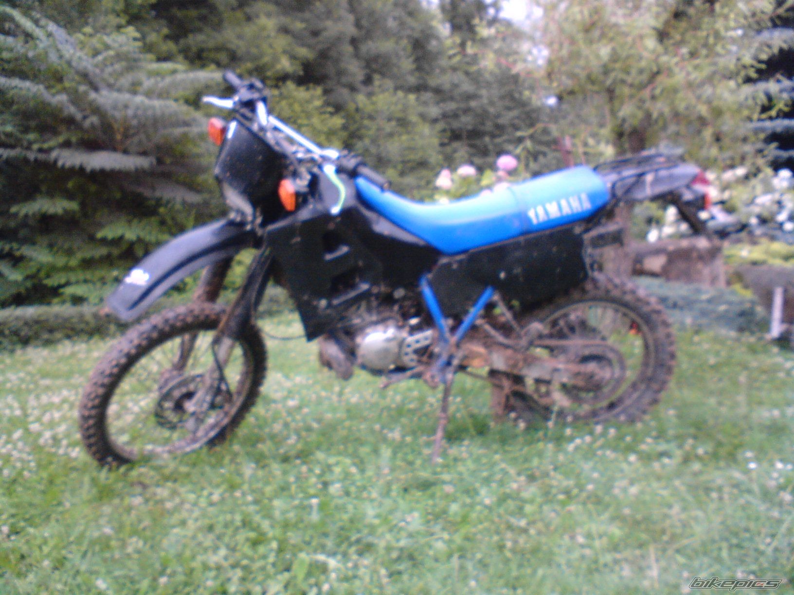 Photo 1353102
