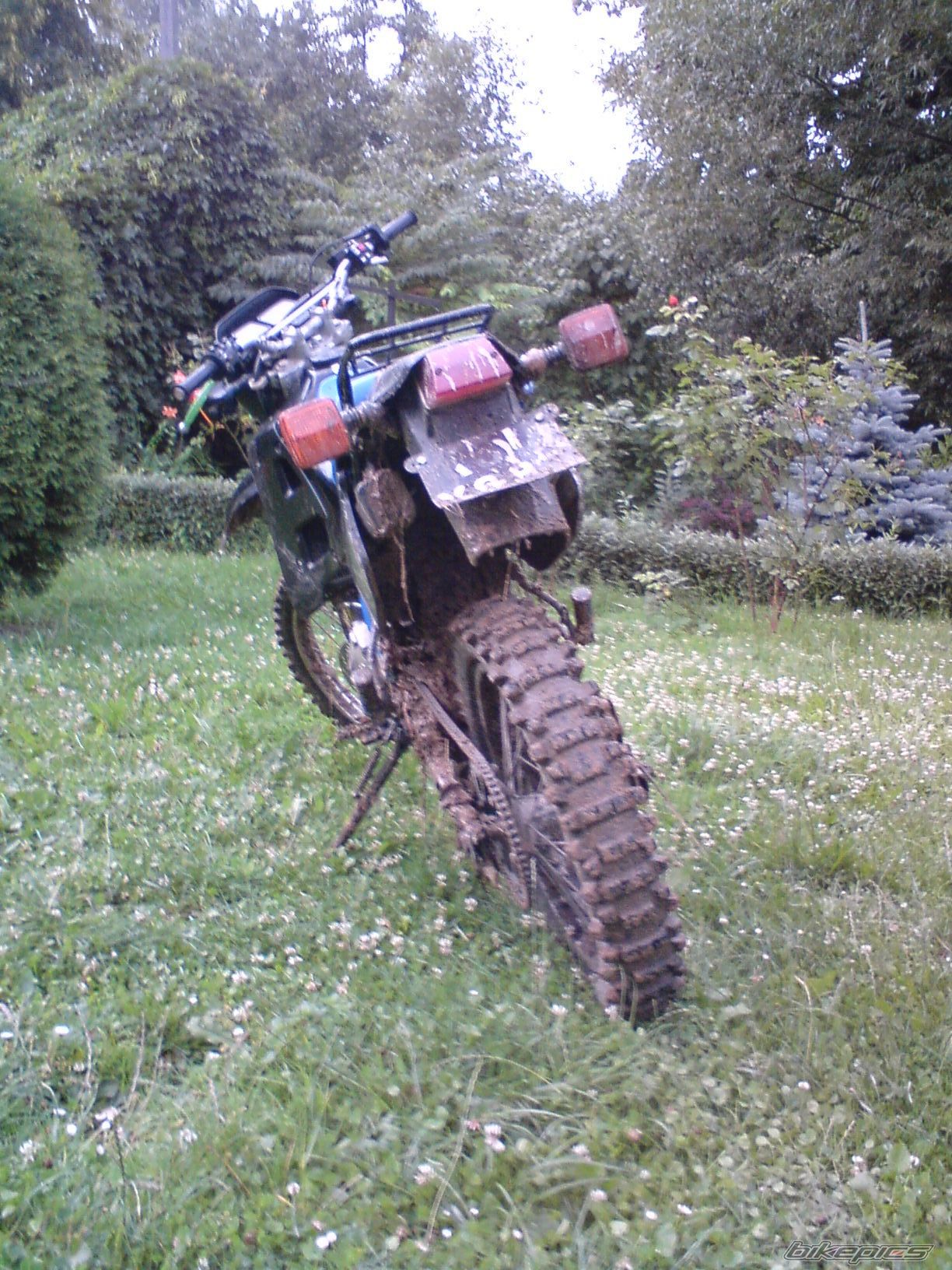 Photo 1353104