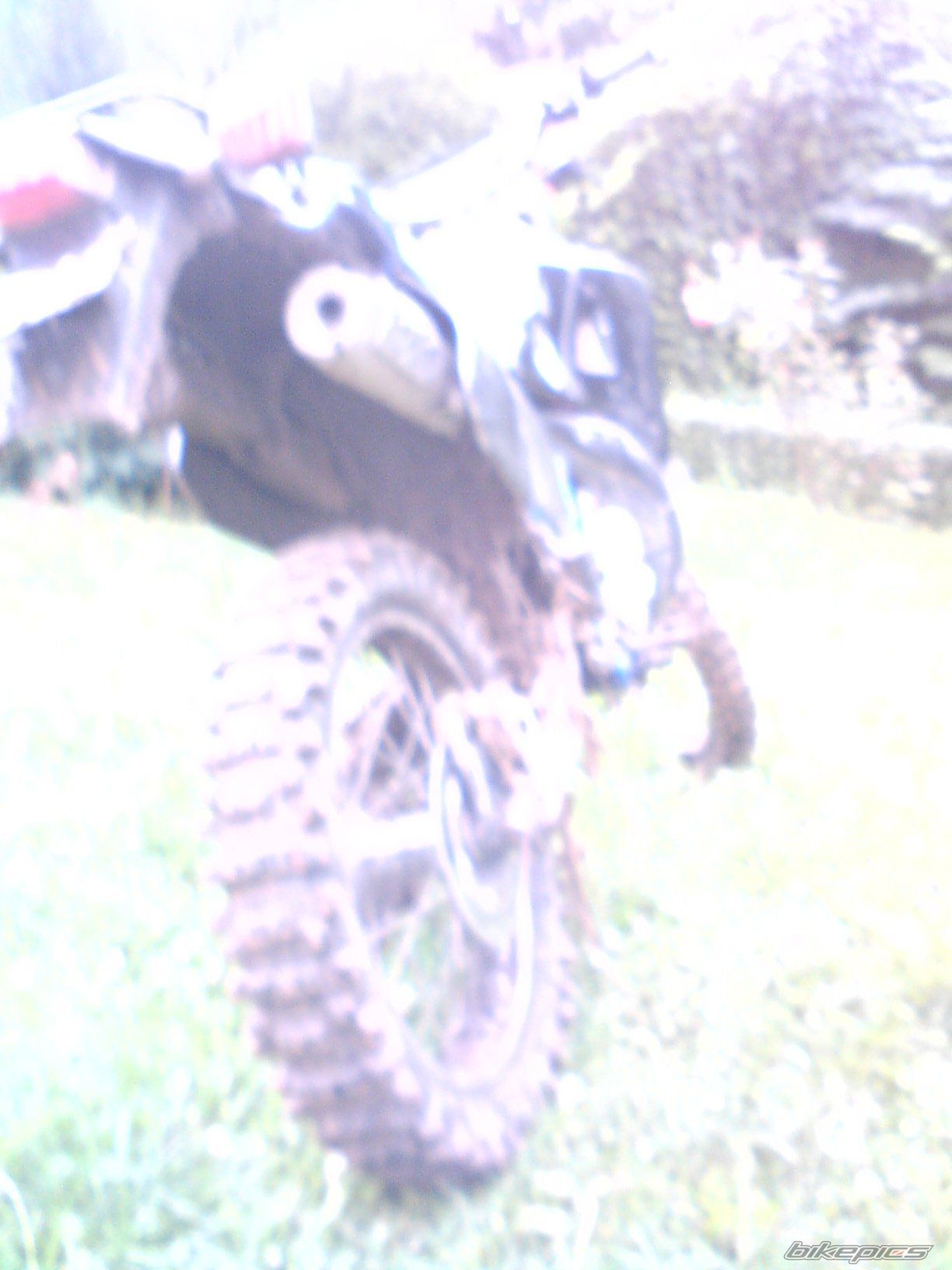 Photo 1353106