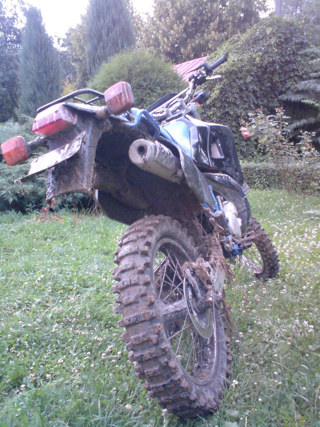 Photo 1353107