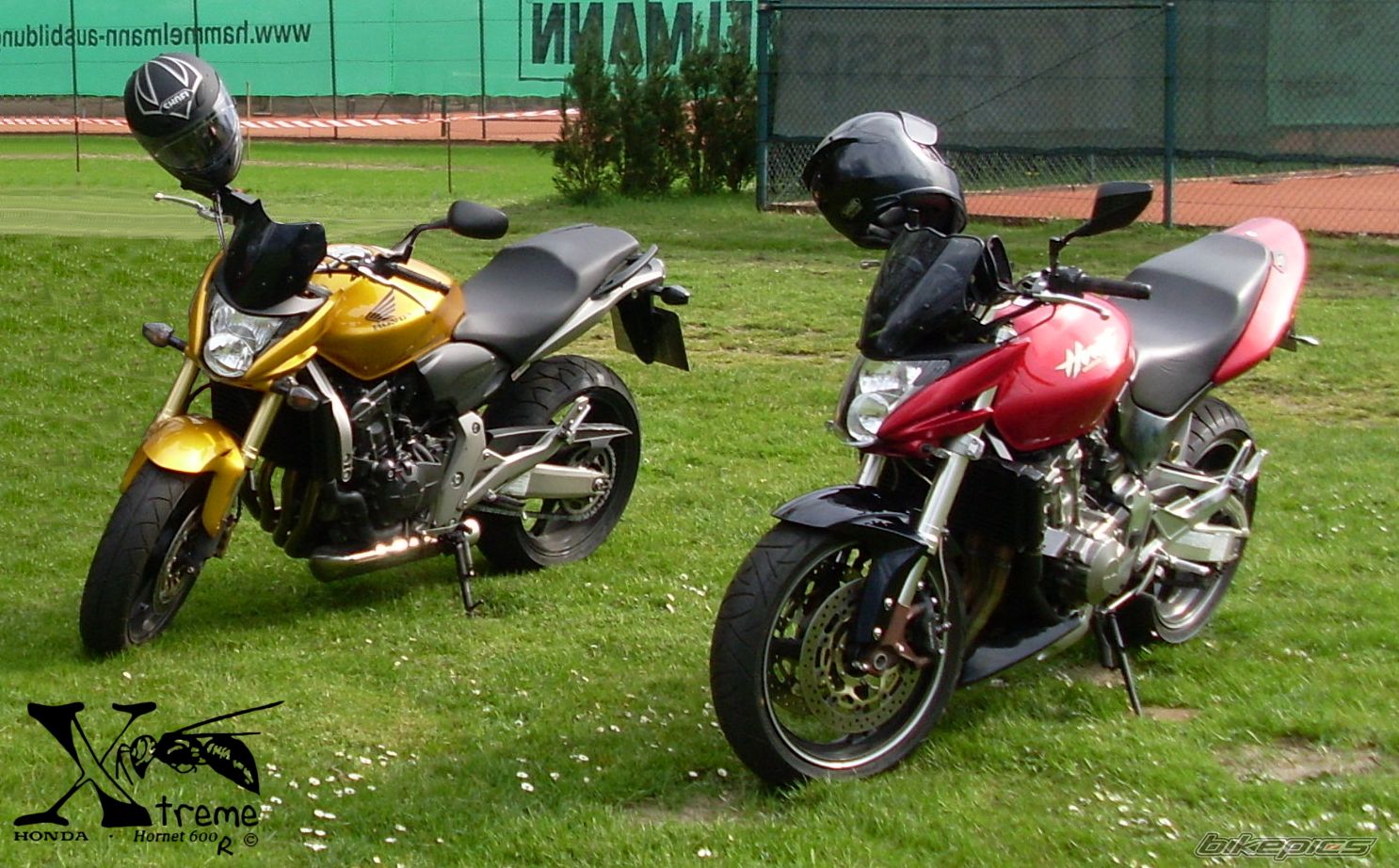 Bike Photo 1353139