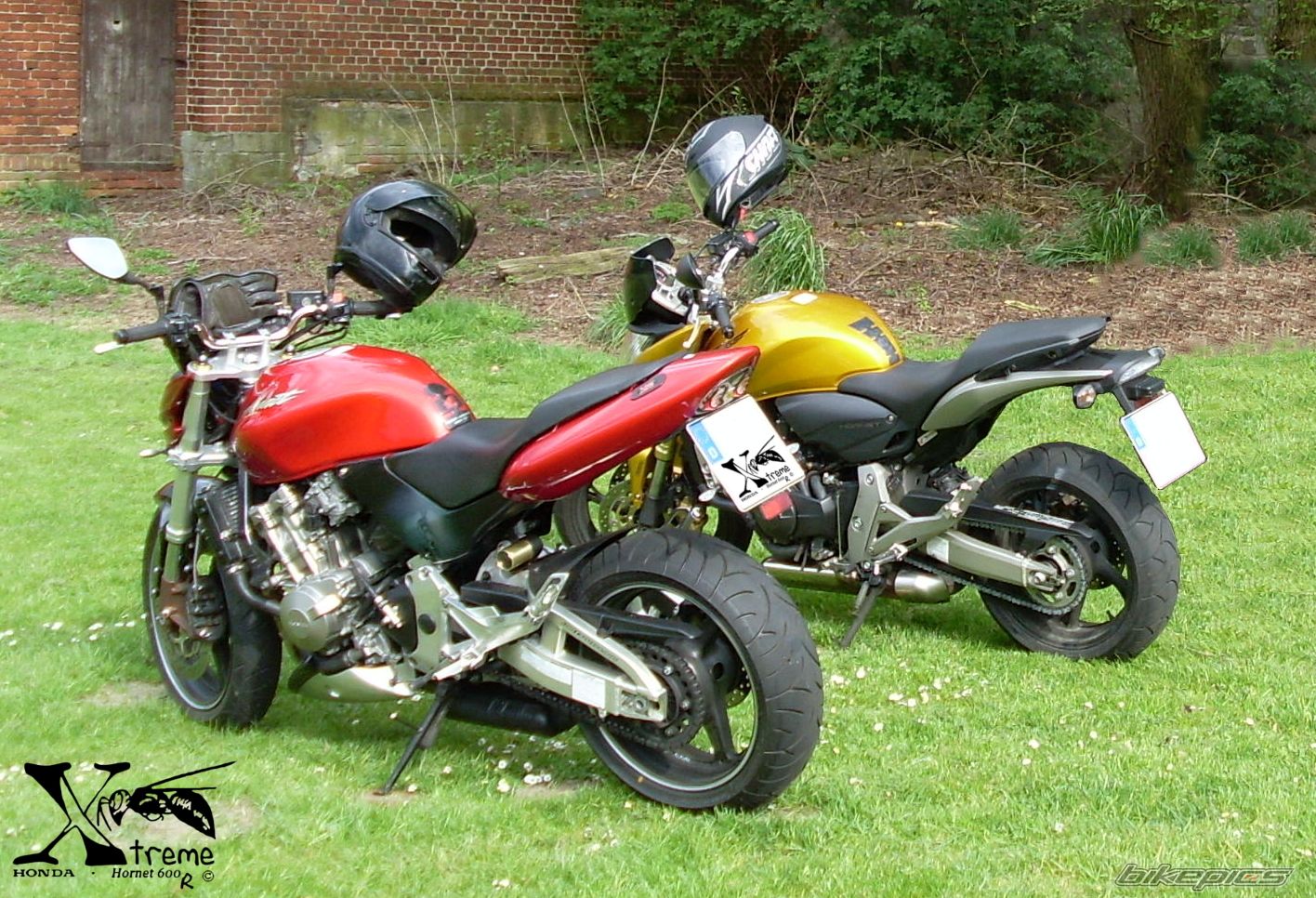 Photo 1353144