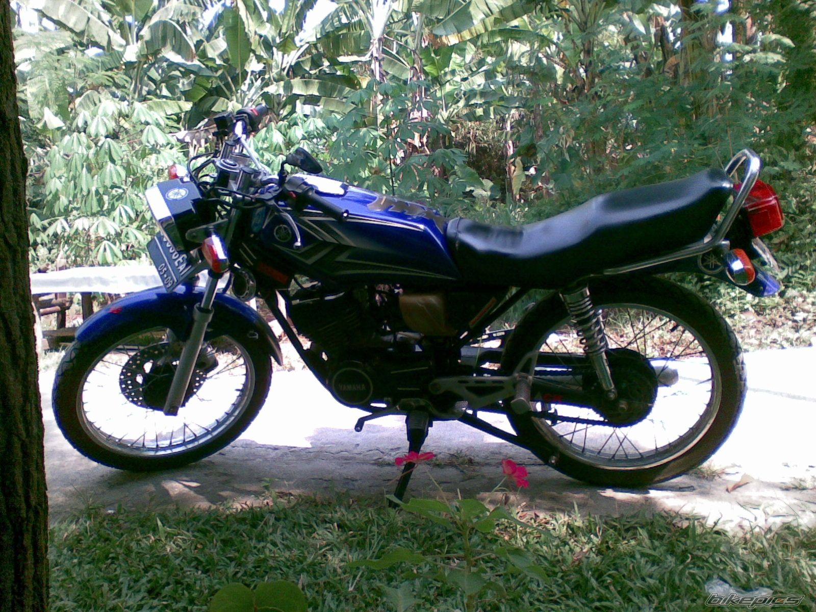 Photo 1353246