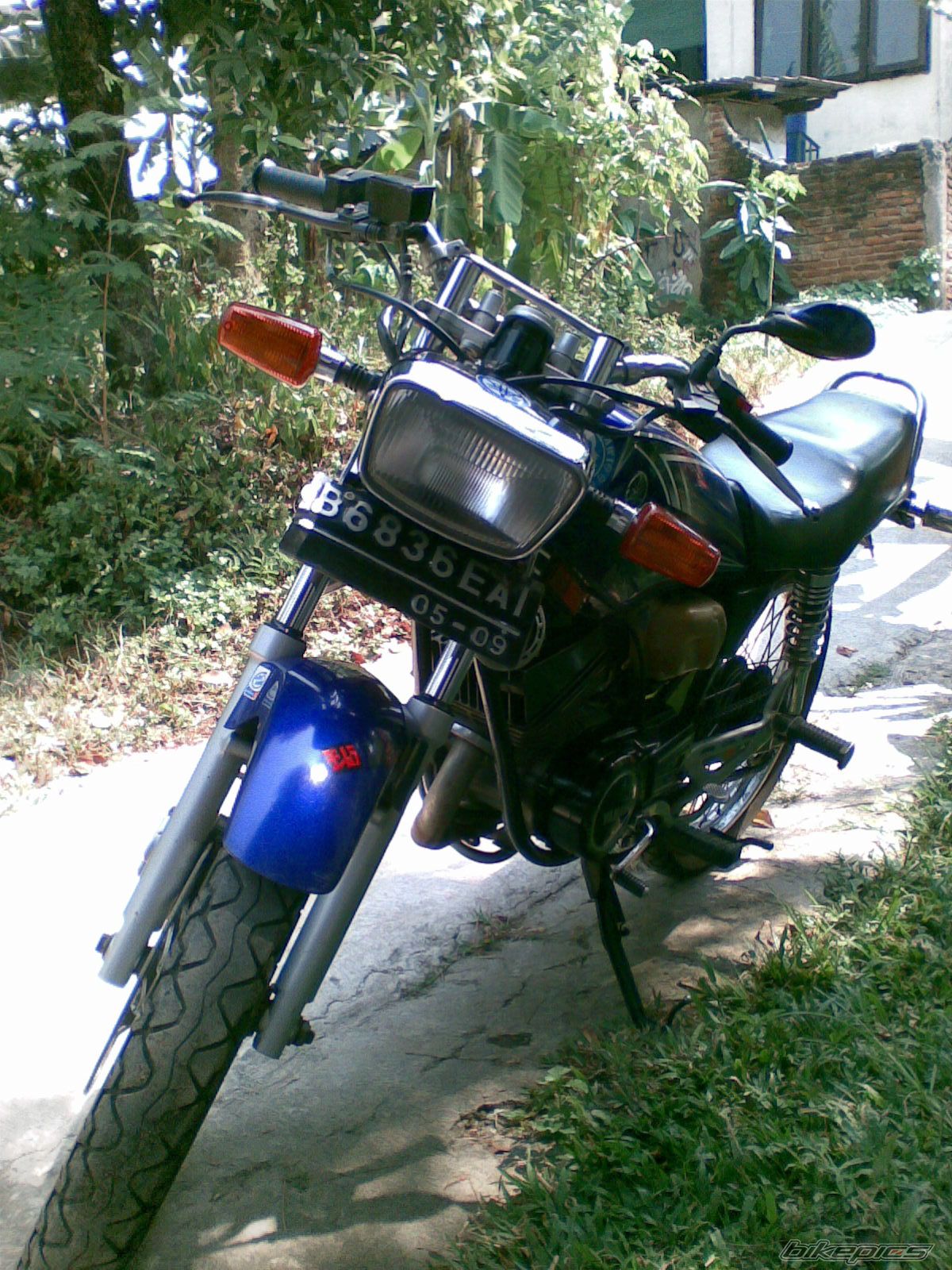 Photo 1353247