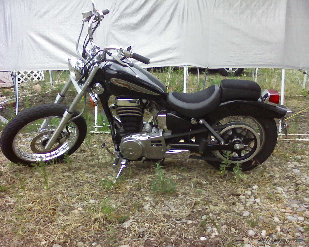 Photo 1353255