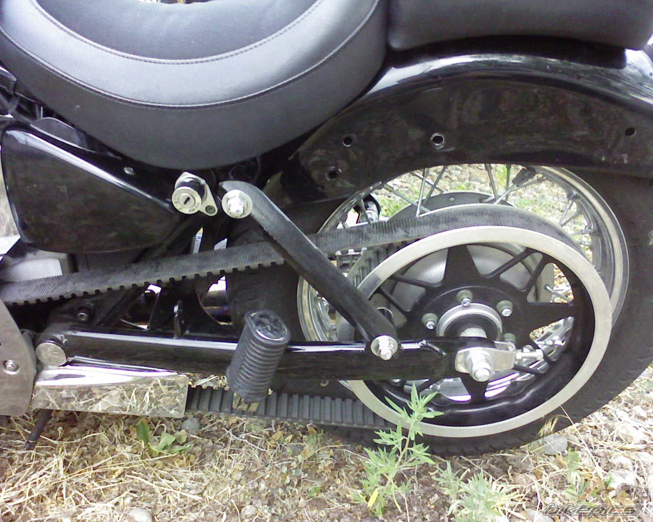 Photo 1353256