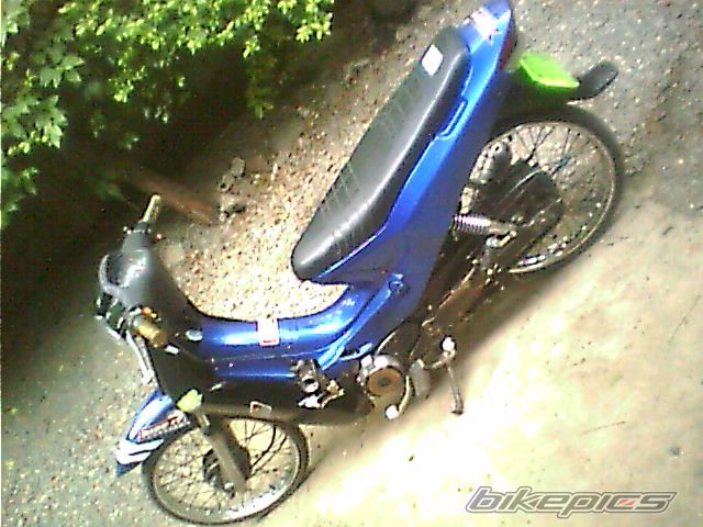 Photo 1353288