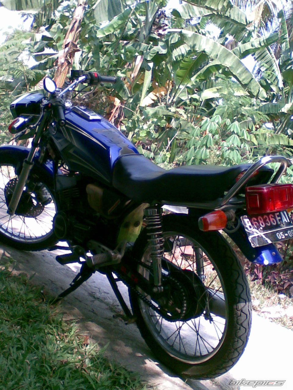 Photo 1353336
