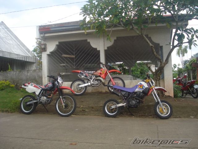 Photo 1353345