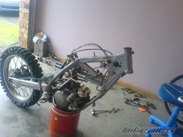 Photo 1353353