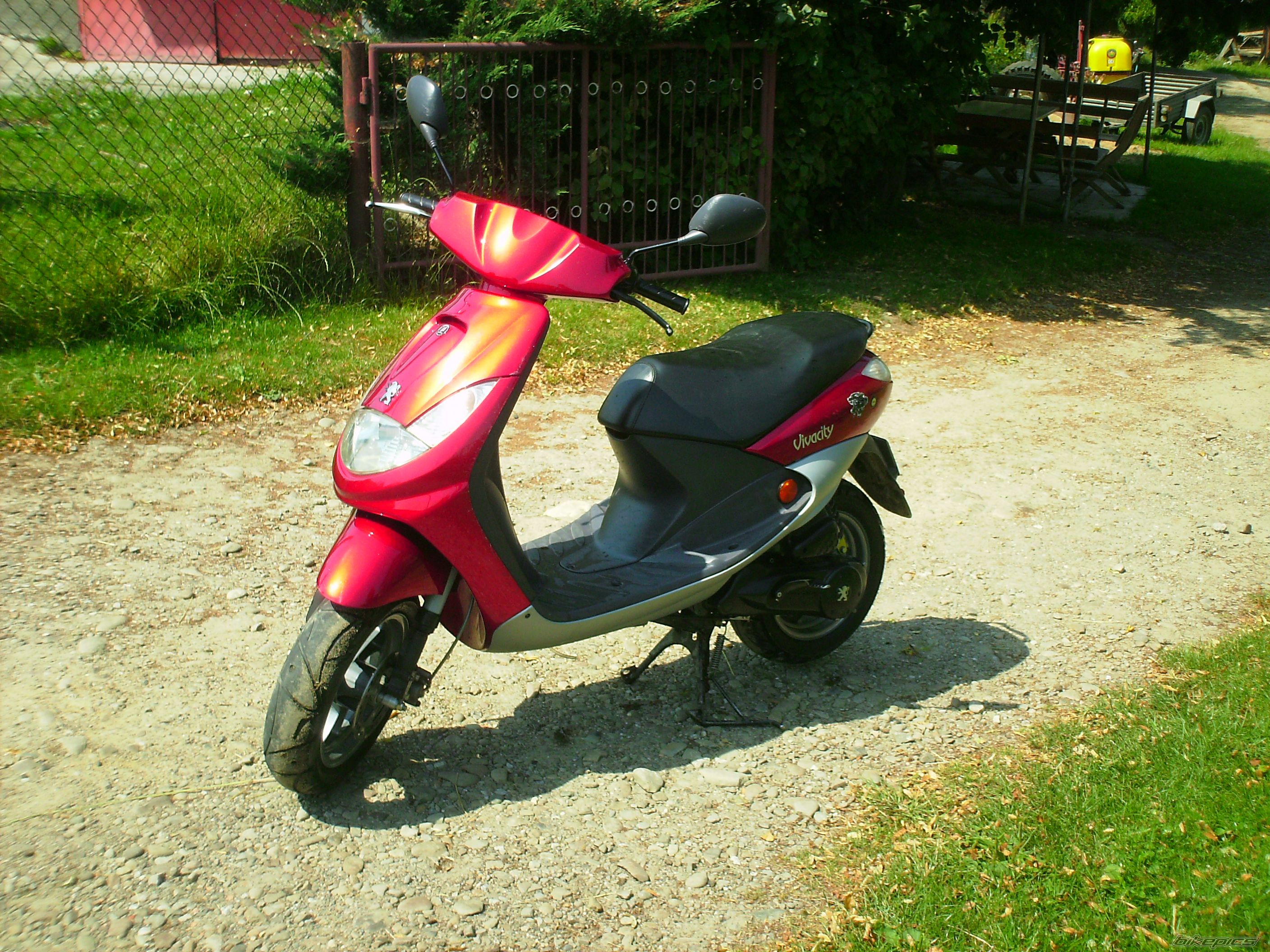 Photo 1353454