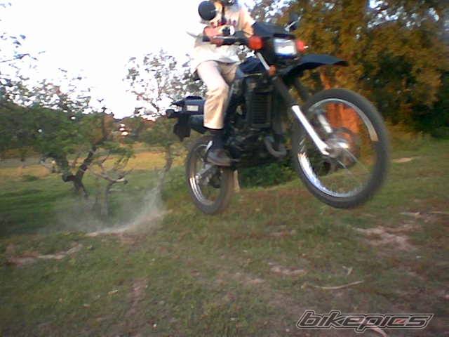 Photo 135349