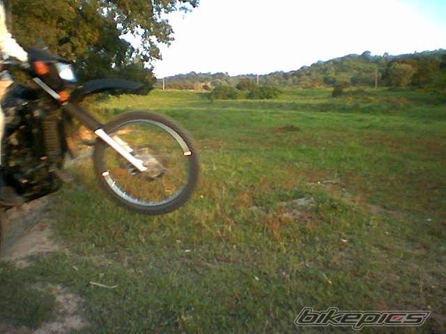 Photo 135353