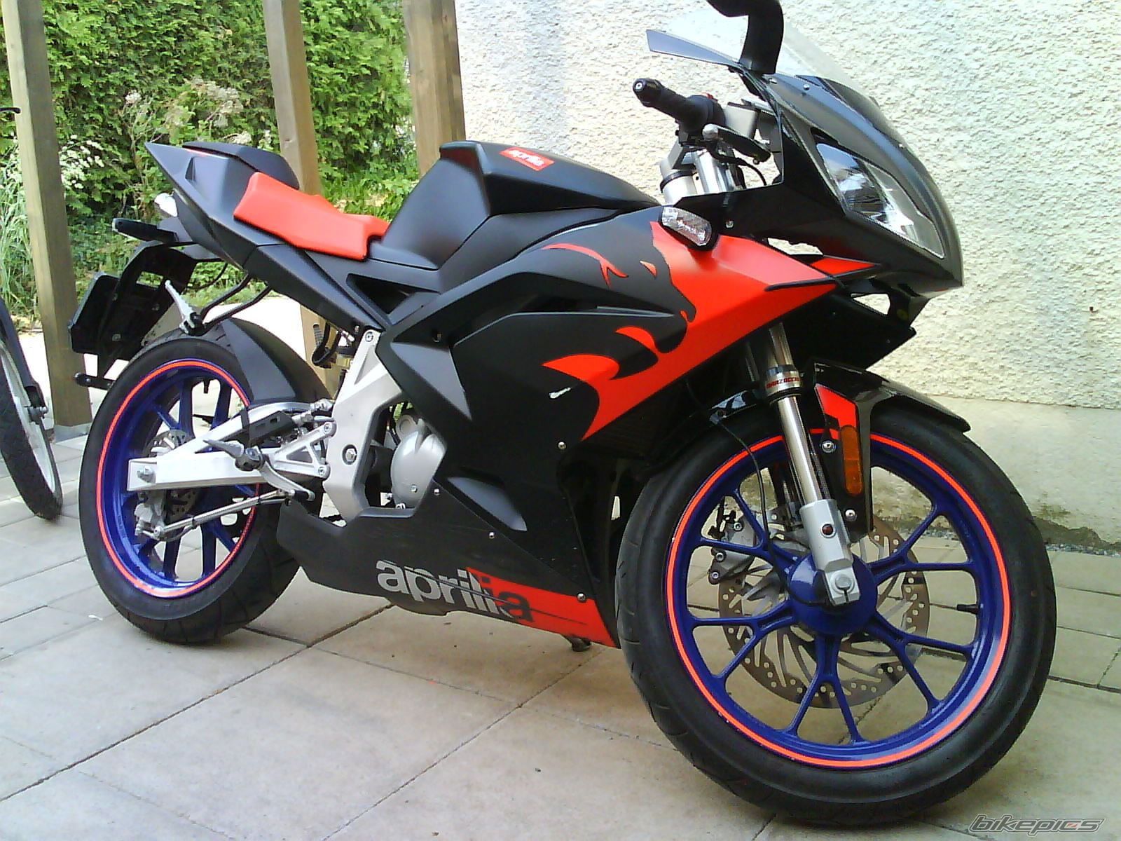 Photo 1353582