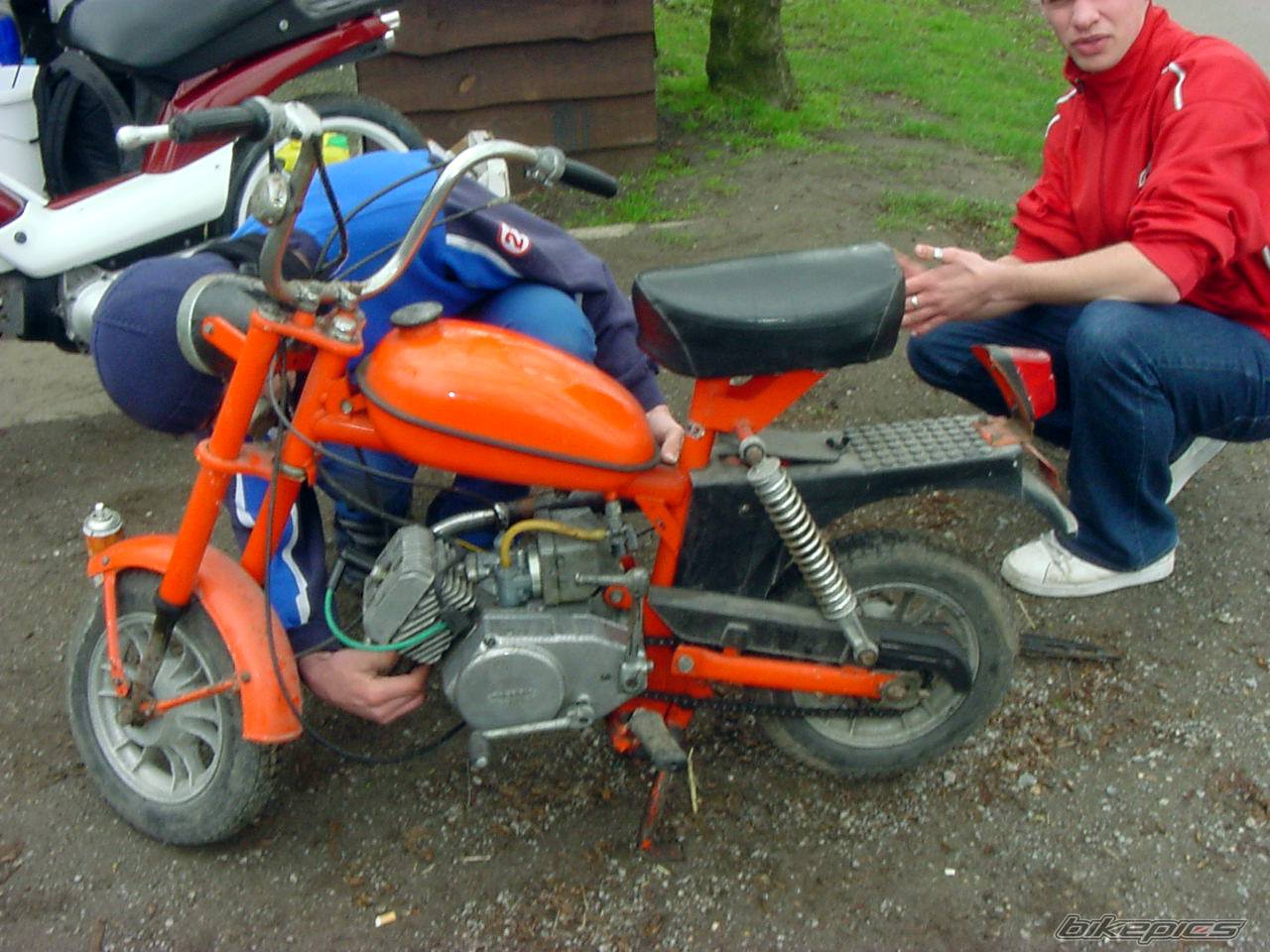 Photo 135360