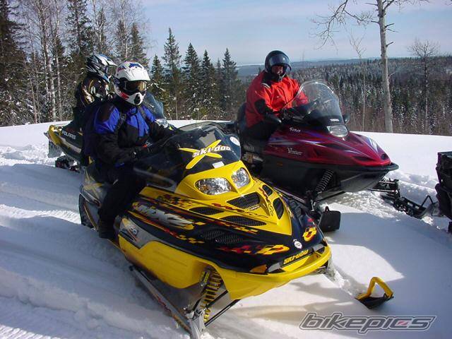 Photo 135364