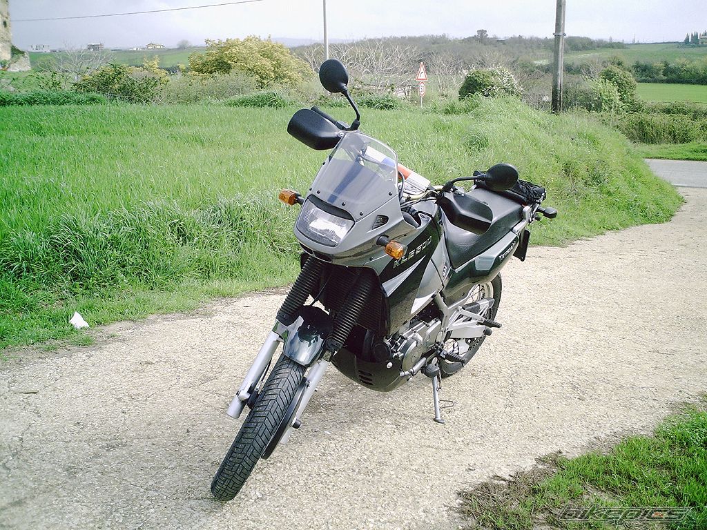 Photo 1353667