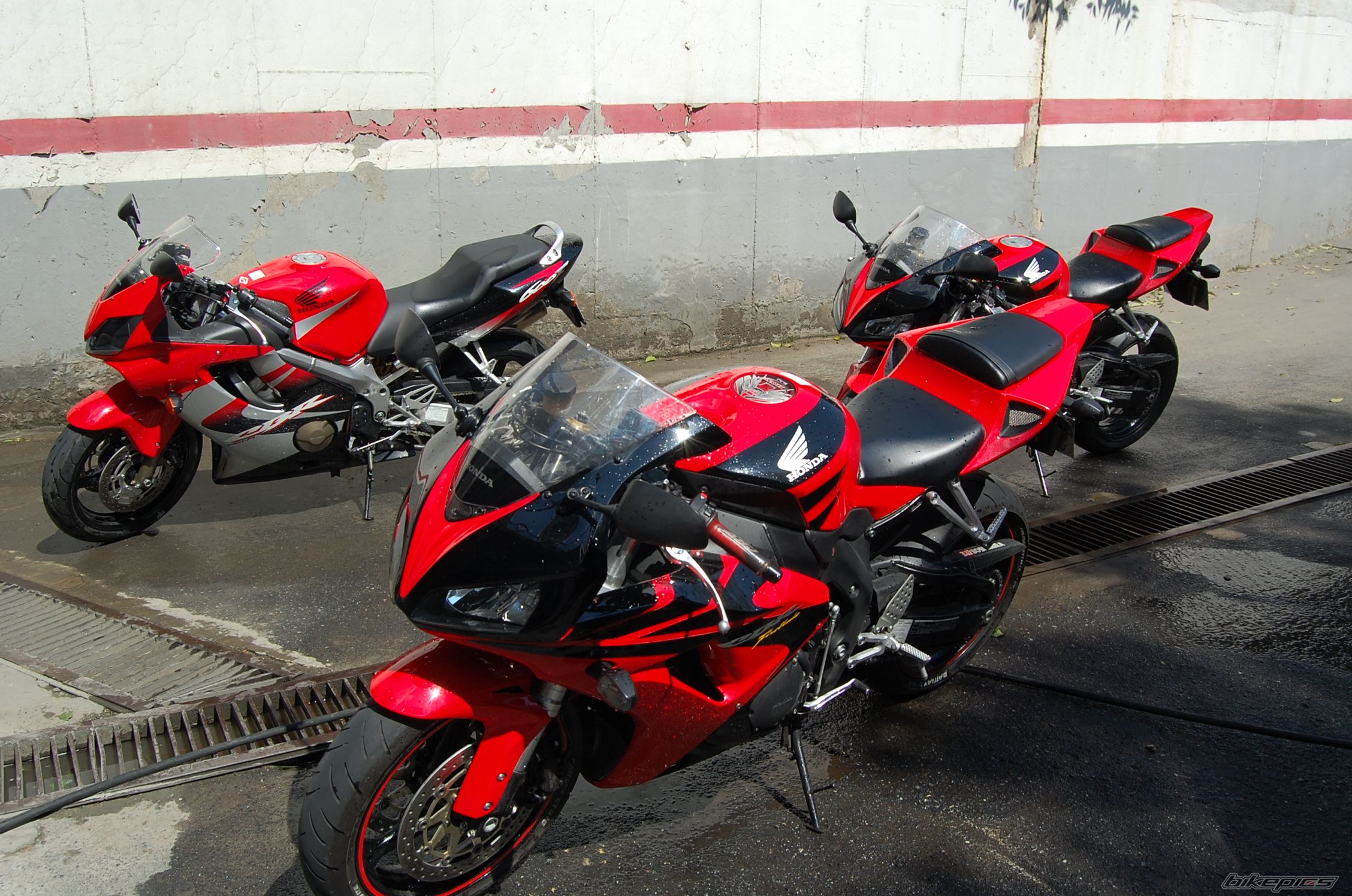 Photo 1353692