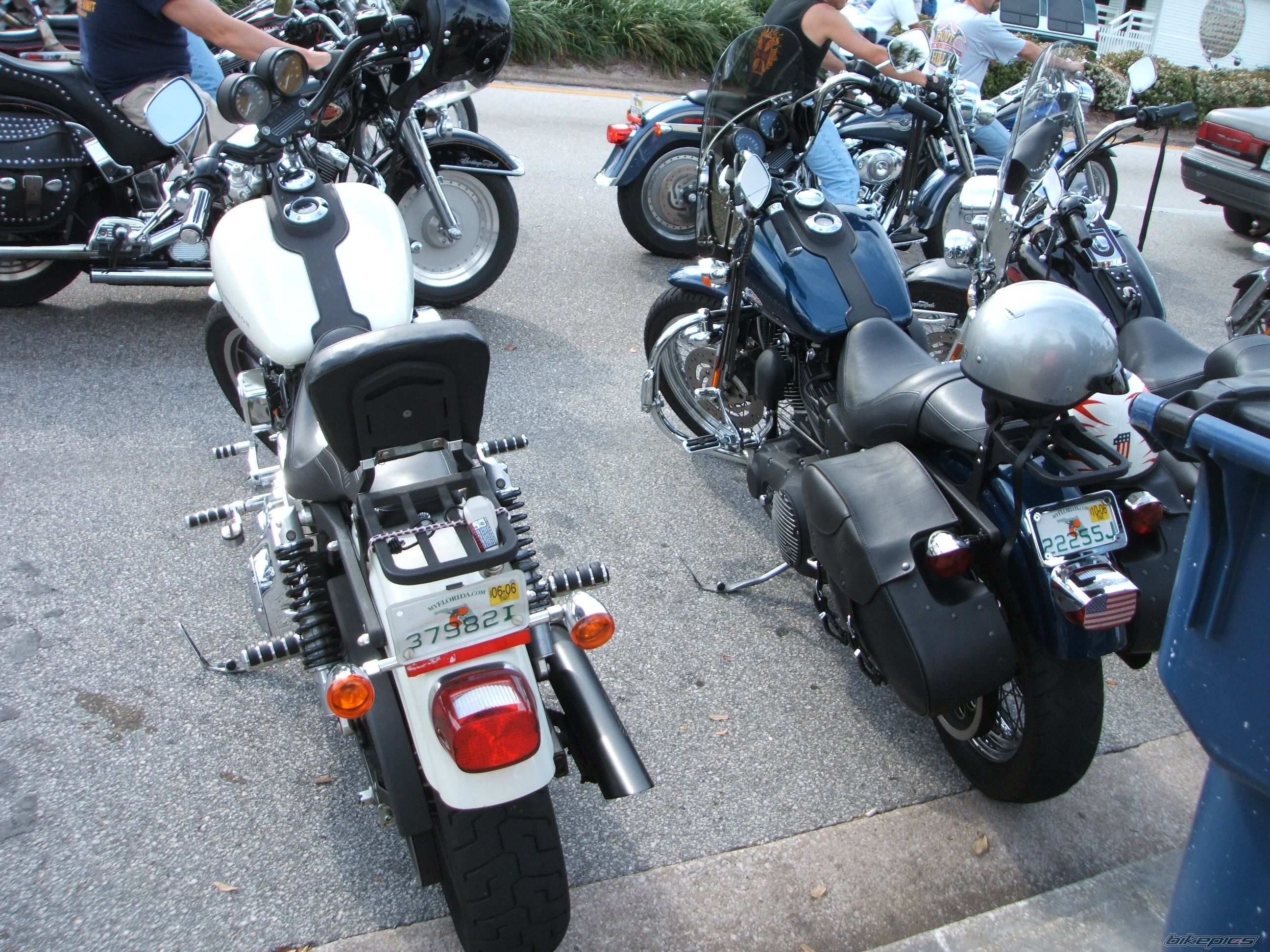 Photo 1353738