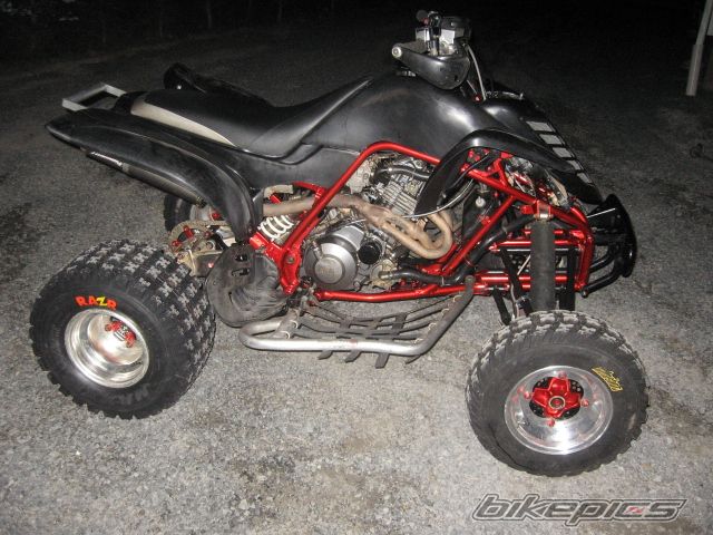 Photo 1353809