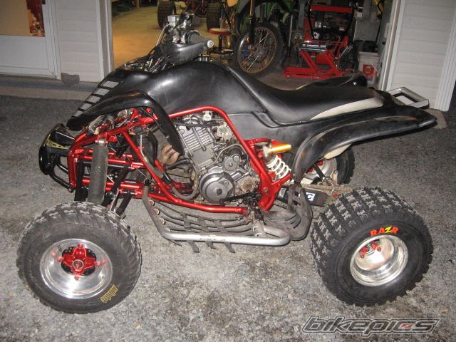 Photo 1353814