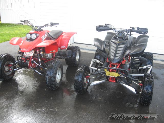 Photo 1353817
