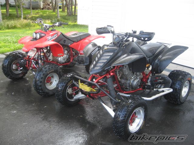 Photo 1353818
