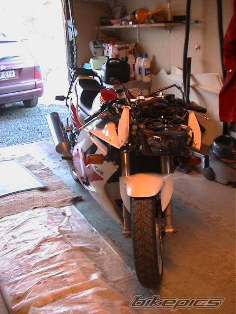 Photo 135382