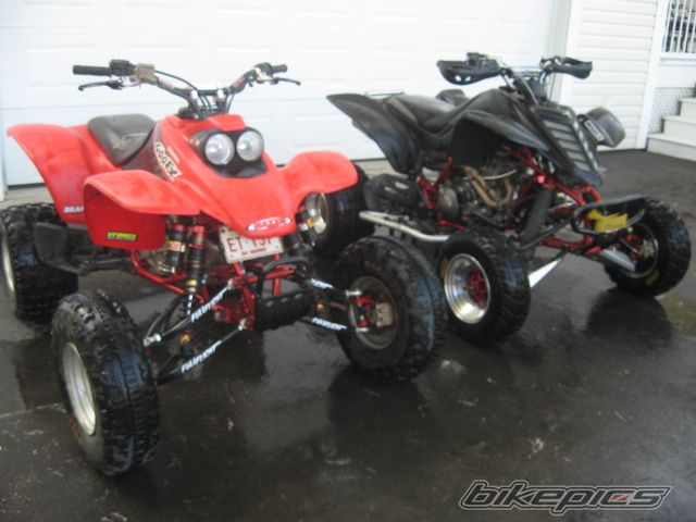 Photo 1353820