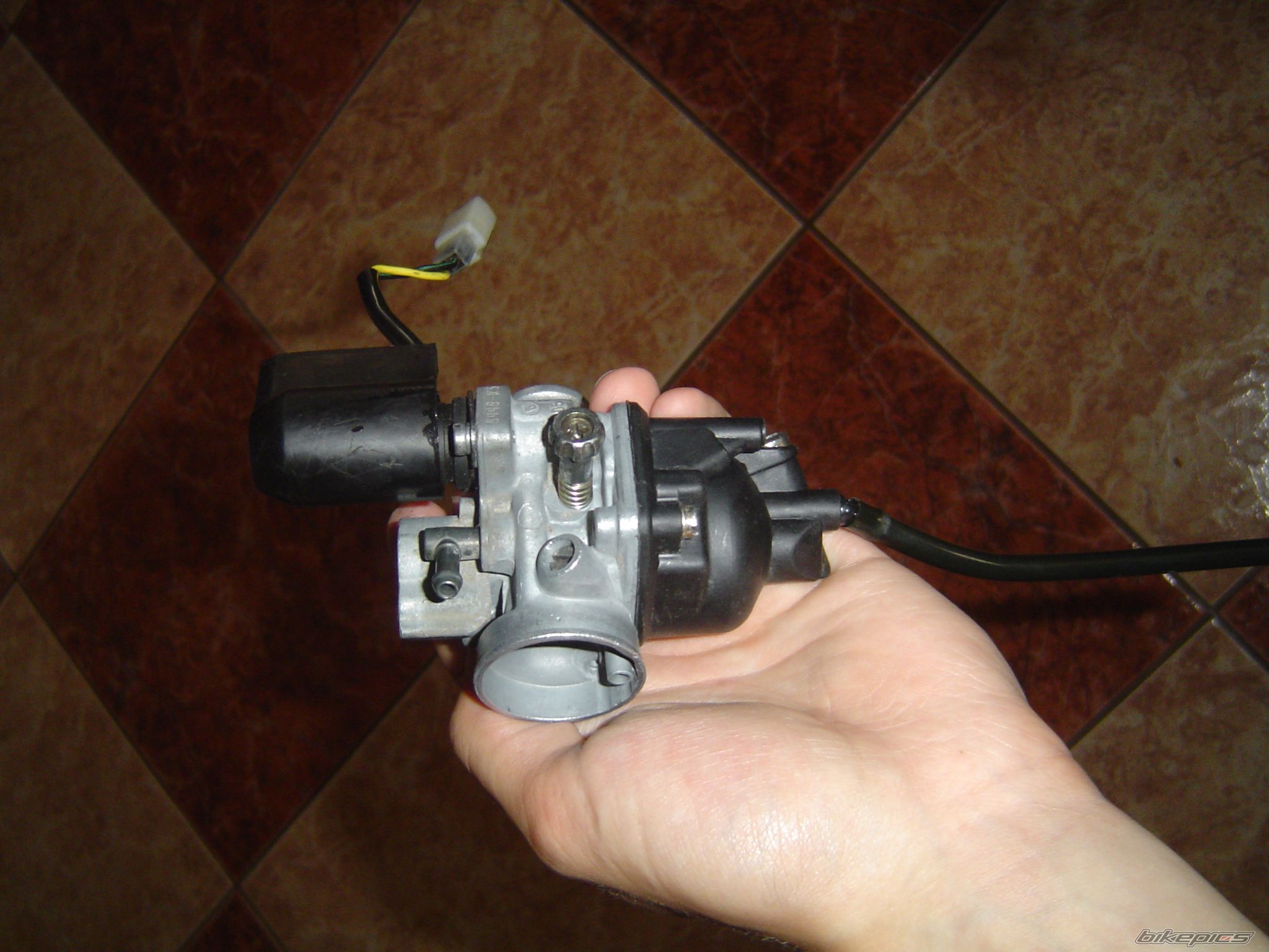 Photo 1353857