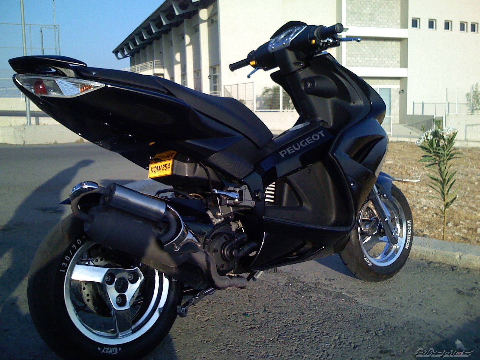 Photo 1353883